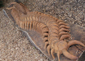 Carvings & Sculptures - Independent Playground Supplier Robinia Timber Equipment Manufacturer Installation Specialist West Sussex Surrey Hampshire London
